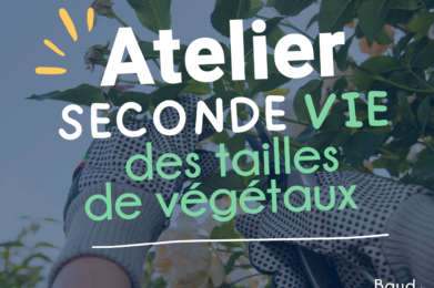 ateliersecondevie