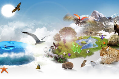 biodiversite