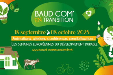 baudcomentransition
