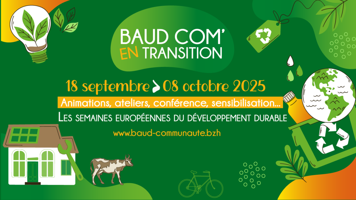 baudcomentransition